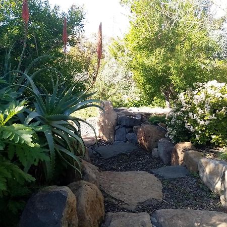 Finca Caboquitos Garafía エクステリア 写真