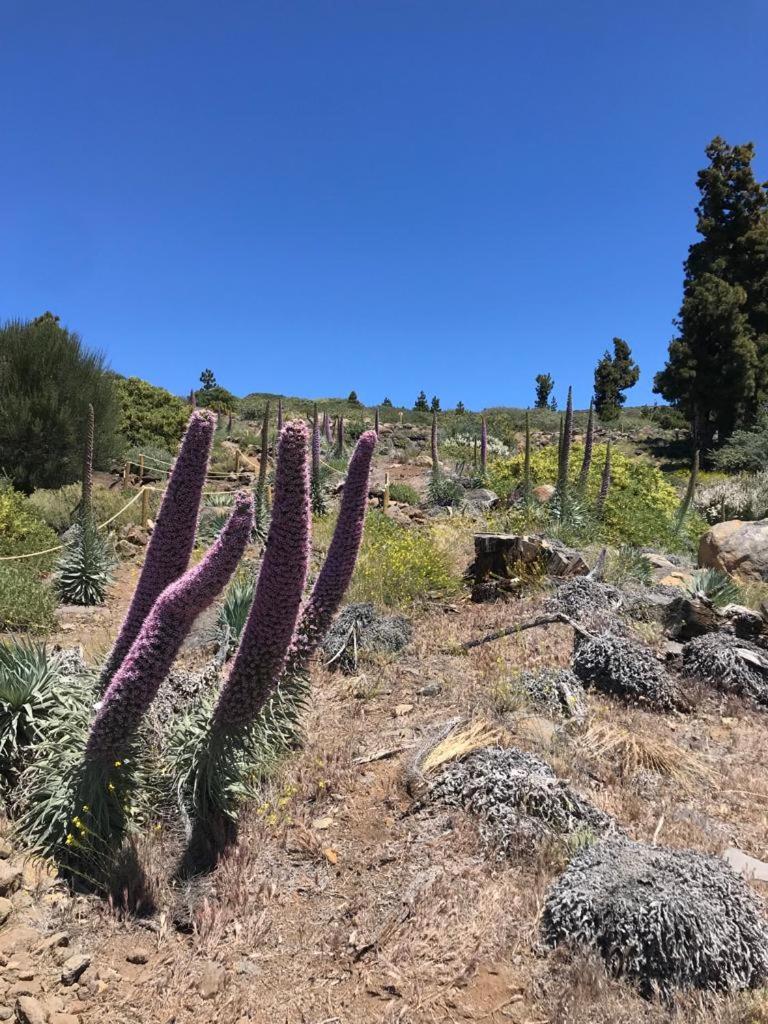 Finca Caboquitos Garafía エクステリア 写真