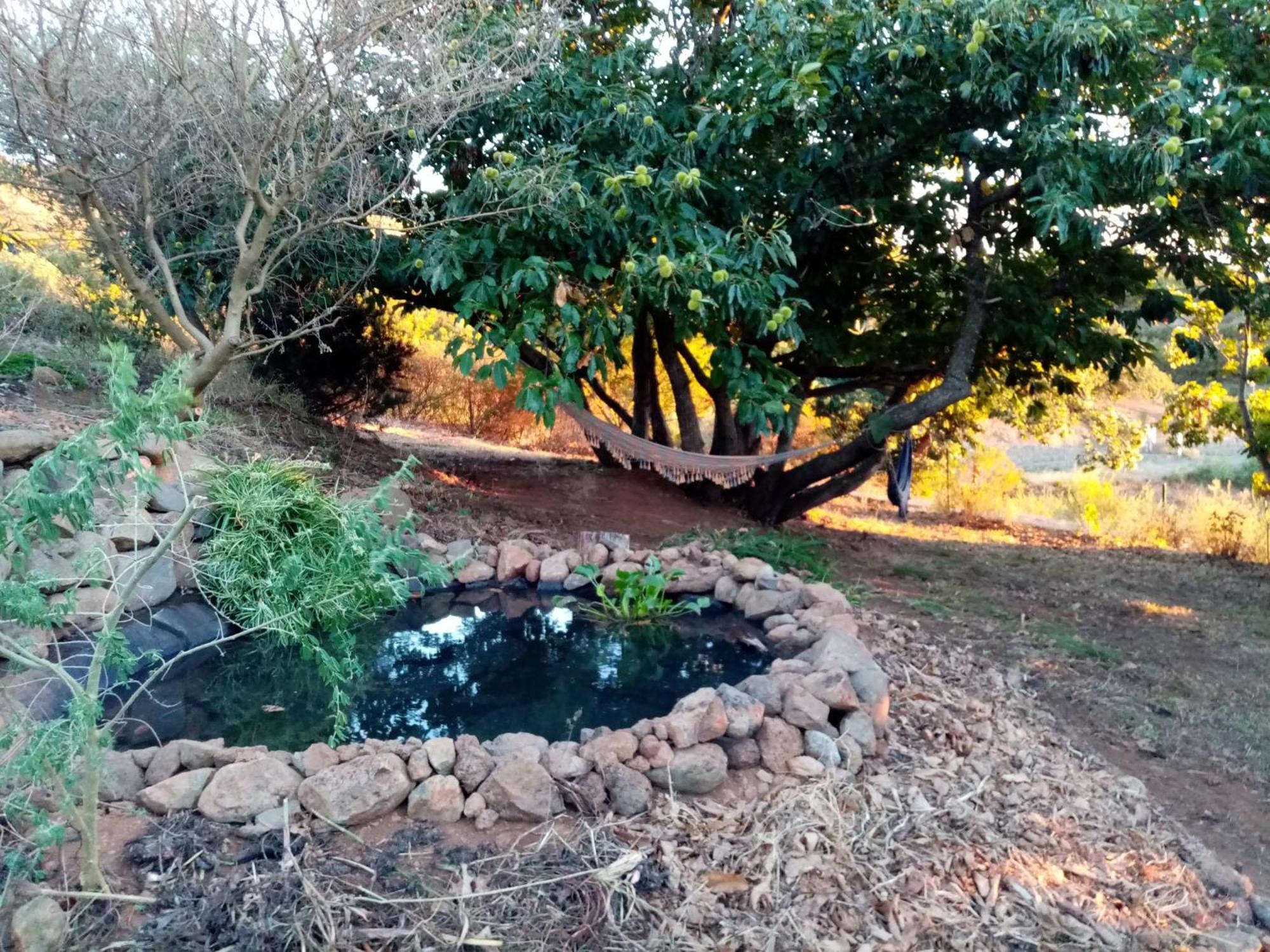 Finca Caboquitos Garafía エクステリア 写真