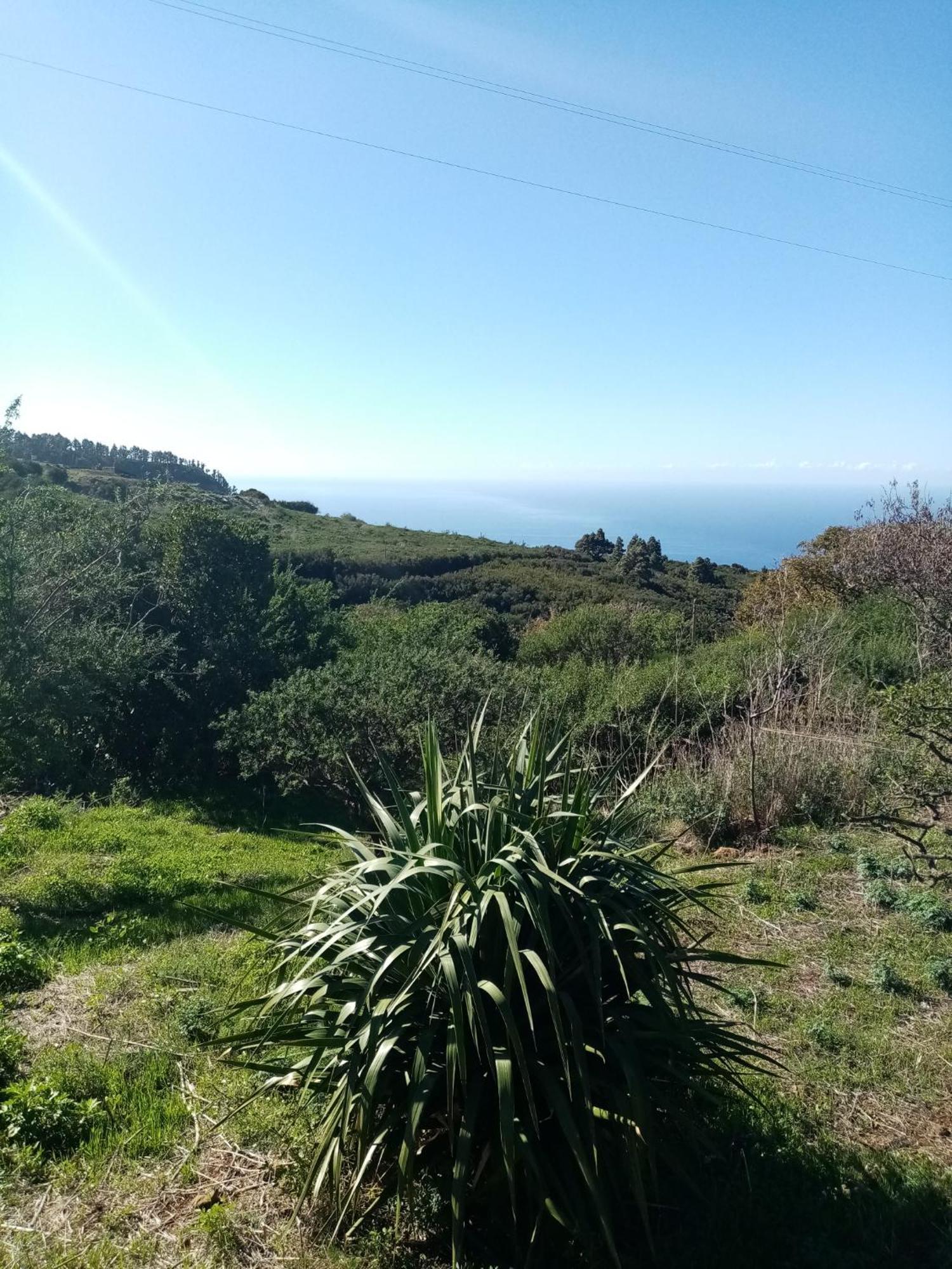 Finca Caboquitos Garafía エクステリア 写真