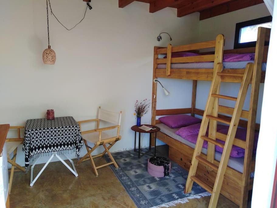 Finca Caboquitos Garafía エクステリア 写真
